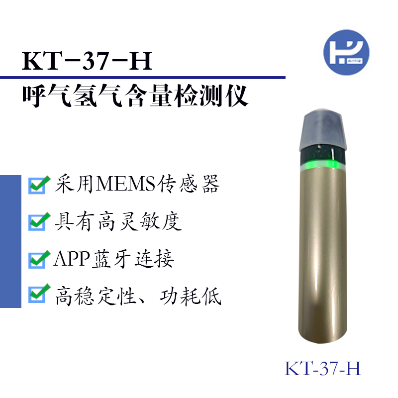 KT-37-H氫氣含量檢測(cè)儀